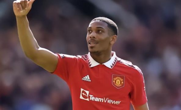 緻分析影響 緻分析影響